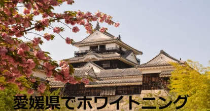 松山城
