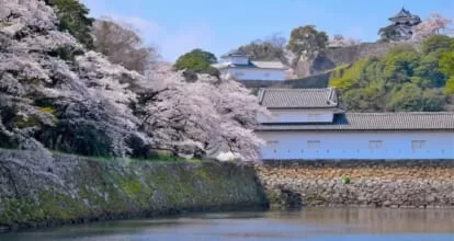 彦根市