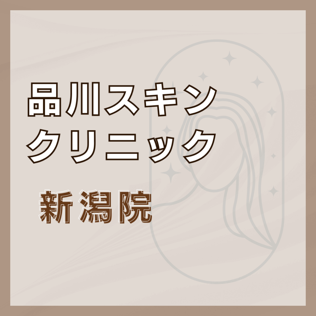 【新潟】品川スキンクリニック 新潟院